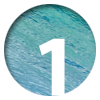 n1