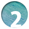 n2