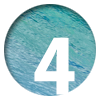 n4